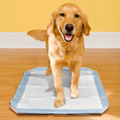 Simple Solution Training Pad Holder - Image 4