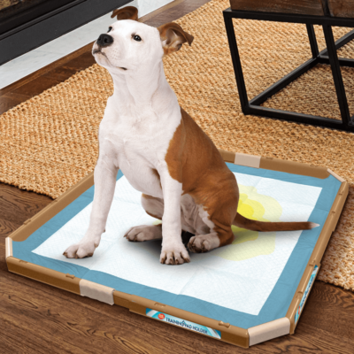 Simple Solution Training Pad Holder - Image 5