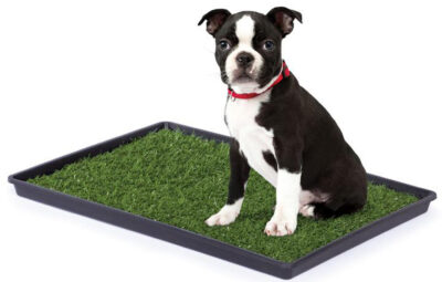 Prevue  Tinkle Turf 23x16.22x1.18 -  24"