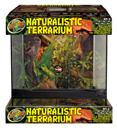 ZOOMED  Naturalistic Terrarium