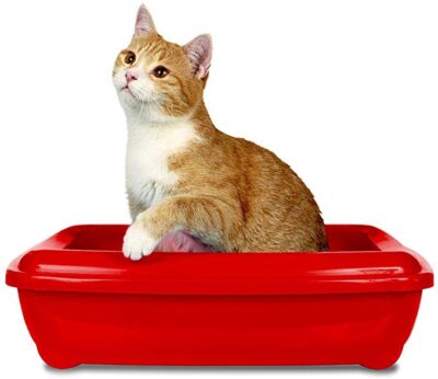 Simple Solution Cat Litter Attractant 255g - Image 6