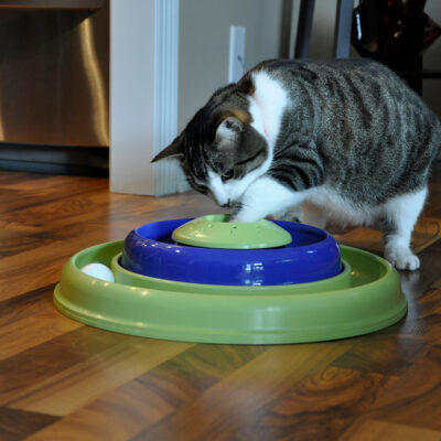 Bergan Catnip Hurricane™ Cat Toy - Image 3