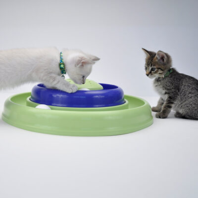 Bergan Catnip Hurricane™ Cat Toy - Image 5
