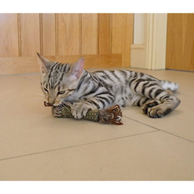 GiGwi Catnip "Johnny Sticks" w/ Double Side Natural Feather - Image 3