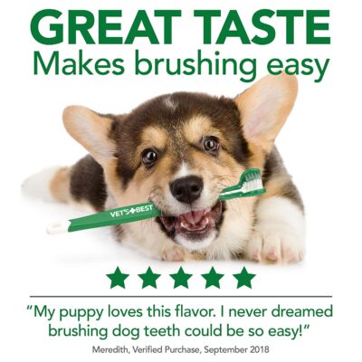 Vet's Best Complete Enzymatic Dental Care Kit - Image 5