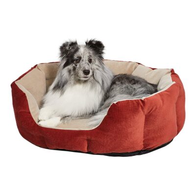 MidWest QuietTime Deluxe Russett Tulip Bed (Small) - Image 2
