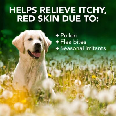 Vet's Best Allergy Itch Relief Dog Shampoo 16 oz - Image 3