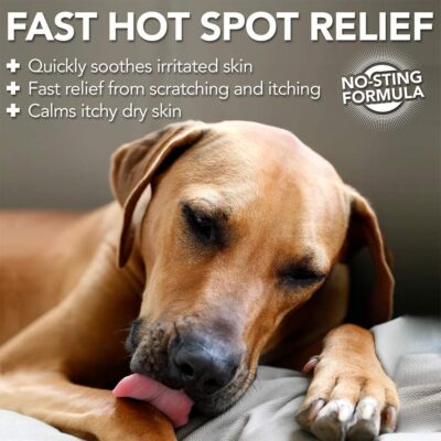 Vet's Best Allergy Itch Relief Spray for Dogs 8 oz - Image 5