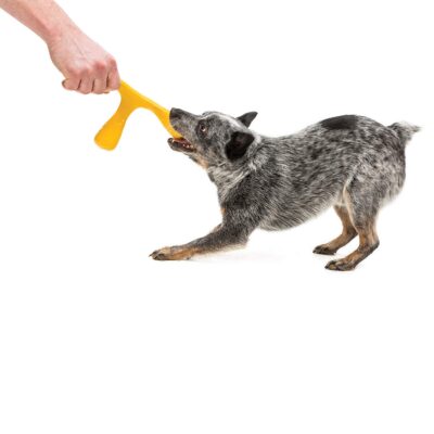 West Paw Wox Dog Toy - Image 3