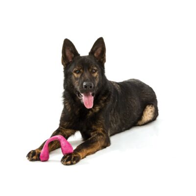 West Paw Wox Dog Toy - Image 5