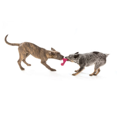 West Paw Wox Dog Toy - Image 6