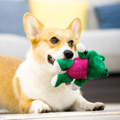 GiGwi Im Hero Armor Alligator TPR / Plush with Squeaker Dog Toy - Image 4