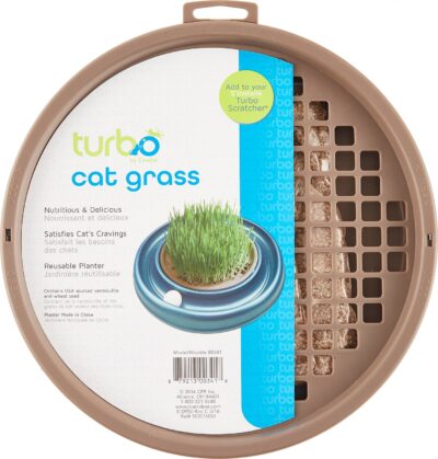 Bergan The Turbo Cat Grass