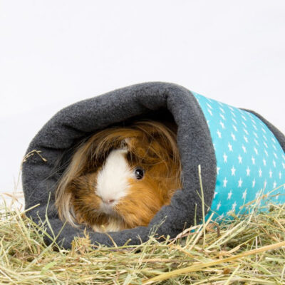 Bunny Nature Fleecy - Turquoise - Image 3