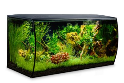 Fluval Fluval Flex Aquarium Kit 123L