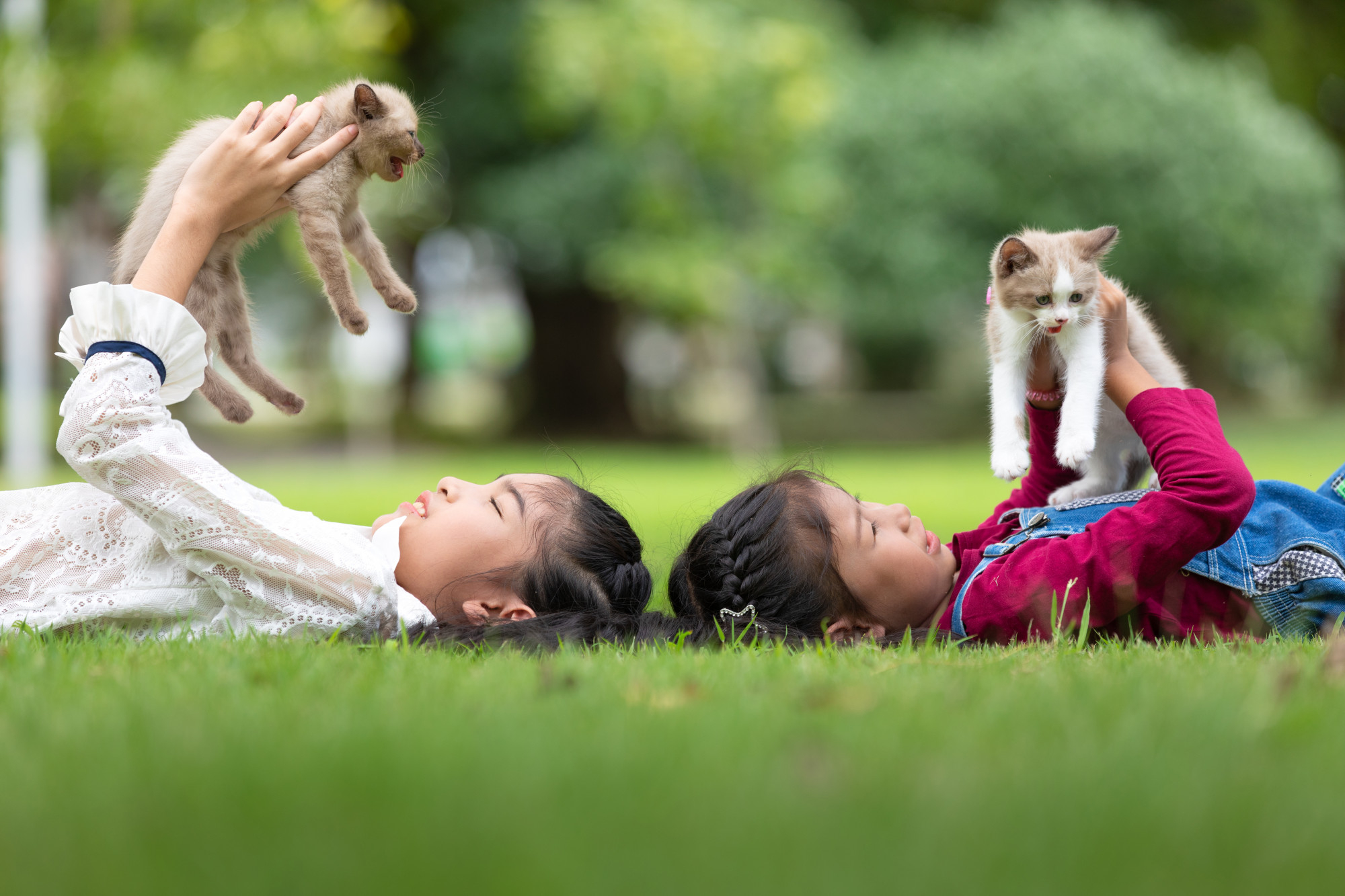 Children holding pets