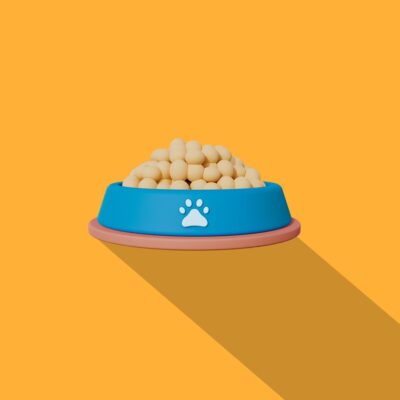 Dry Food for Cats