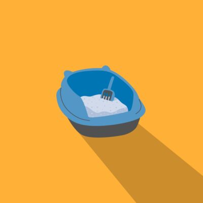 Cat Litter & Accessories