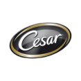 cesar-300x300